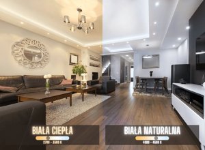 Blaupunkt Blaupunkt Żarówka LED E27 8,5W barwa naturalna 3