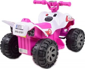 Import SUPER-TOYS PIERWSZY QUAD NA AKUMULATOR DIRT RAIDER/BRD2101 10