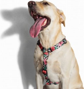ZeeDog ZEE DOG Szelki dla psa Mahalo L 2