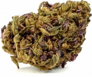 Exclusive Weed Susz konopny Purple Haze CBD 1g 1