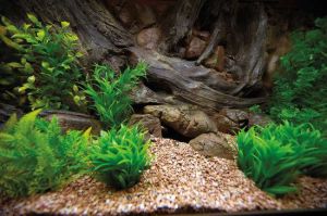 ATG TŁO DO AKWARIUM 80x40 AMAZON 3