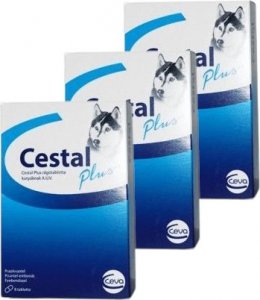 Ceva Animal Health Cestal Dog Plus Flavour tabletki na odrobaczanie psów 6 tabletek 1