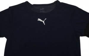 Puma Zestaw męski koszulka i spodenki Puma teamRISE 4