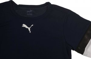 Puma Zestaw męski koszulka i spodenki Puma teamRISE 6