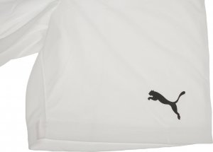 Puma Zestaw męski koszulka i spodenki Puma teamRISE 12