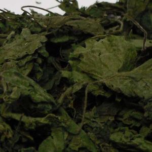 Zuzala POKRZYWA SUSZONA 2