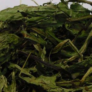 Zuzala MNISZEK LEKARSKI SUSZONY 2