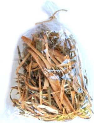 Zuzala kora wierzby 2