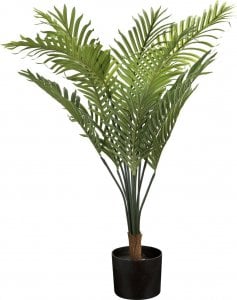 Witek Home Roślina doniczkowa palma 100 cm 1