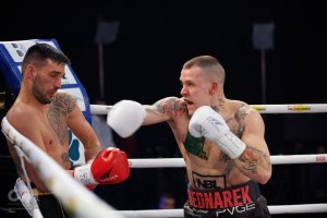 YakimaSport Rękawice bokserskie WOLF WHITE L 10 oz 7