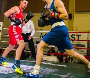 YakimaSport Rękawice bokserskie skóra naturalna PRO SPIDER 10 oz 9