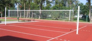 Netex siatka do siatkówki profesjonalna z antenkami czarna iv mlw netex *vs 3