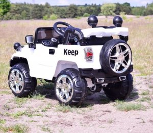 Super-Toys NAJNOWSZY DZIP "KEEP" Z FUNKCJĄ BUJANIA , PILOT/FB716 12