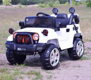 Super-Toys NAJNOWSZY DZIP "KEEP" Z FUNKCJĄ BUJANIA , PILOT/FB716 13