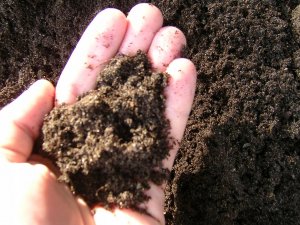 Ekobat Preparat bakteryjno-enzymatyczny do kompostu 1m3 4