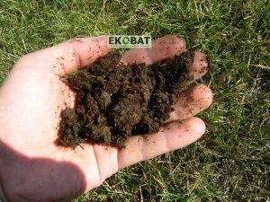 Ekobat Kompostownik 350L wytrzymały 20 lat mrozoodporny 15
