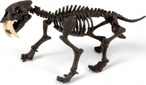 Clementoni Clementoni Smilodon Zbuduj szkielet tygrysa ZA3713 3