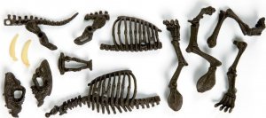 Clementoni Clementoni Smilodon Zbuduj szkielet tygrysa ZA3713 4