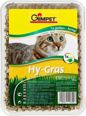 Gimpet GIMPET HY-GRAS 150g TRAWA POJEMNIK 1