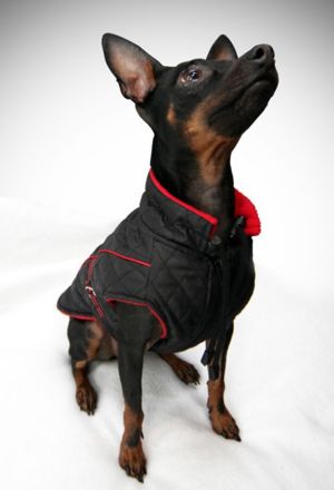 Grande Finale Kurtka pikowana czarna rozmiar 1 [U12] 2