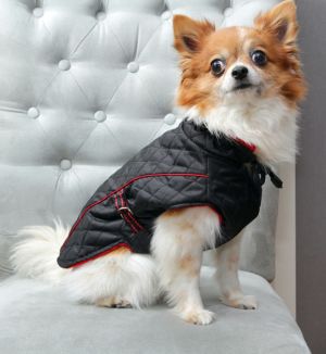 Grande Finale Kurtka pikowana czarna rozmiar 1 [U12] 3