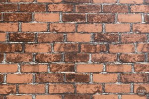 MallDeco TAPETA WINYLOWA TERAKOTA CEGŁA ART. 2