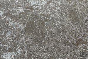 MallDeco TAPETA WINYLOWA MODEL AGAVA GRAFIT 3