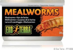 Hagen HAGEN-EXO TERRA Puszka Mealworms 34g. 1