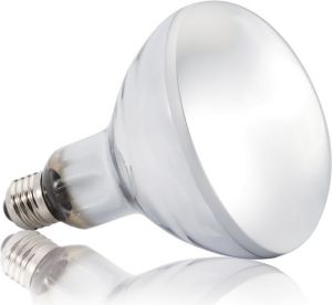 Hagen EXOTERRA ŻARÓWKA SOLAR GLO 160W 2