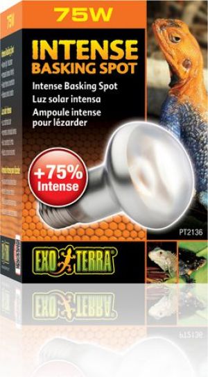 Hagen EXOTERRA ŻARÓWKA INTENSE SPOT 75W 3
