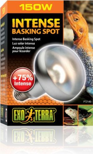 Hagen EXOTERRA ŻARÓWKA INTENSE SPOT 150W 3