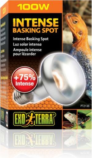 Hagen EXOTERRA ŻARÓWKA INTENSE SPOT 100W 3