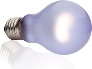 Hagen EXOTERRA ŻARÓWKA DAYTIME HEAT 60W 2