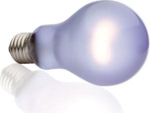 Hagen EXOTERRA ŻARÓWKA DAYTIME HEAT 100W MAŁA 2