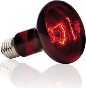 Hagen EXOTERRA ŻAR. INFRARED SPOT 100W 2