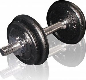 SKO Cast iron weight dumbbells set with case TOORX 0.75-15 kg 2