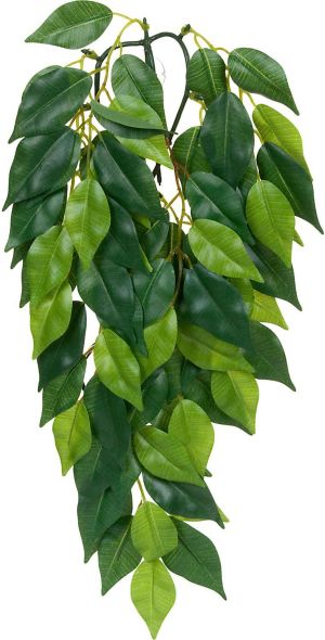Hagen EXOTERRA ROŚLINA FICUS S 2