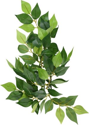 Hagen EXOTERRA ROŚLINA FICUS S 3
