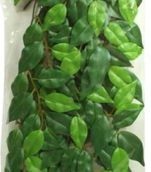 Hagen EXOTERRA ROŚLINA FICUS S 4