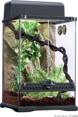 Hagen EXOTERRA LIANA L 3