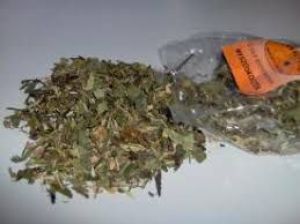 Herbal Pets ZIOŁA PODSTAWOWE MYSZOSKOCZEK 2