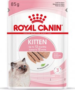 Royal Canin ROYAL CANIN Kitten pasztet 12x85g karma mokra - pasztet dla kociąt do 12 miesiąca życia + Royal Canin Piłeczka dla kota GRATIS 3