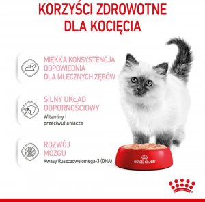 Royal Canin ROYAL CANIN Kitten pasztet 12x85g karma mokra - pasztet dla kociąt do 12 miesiąca życia + Royal Canin Piłeczka dla kota GRATIS 6
