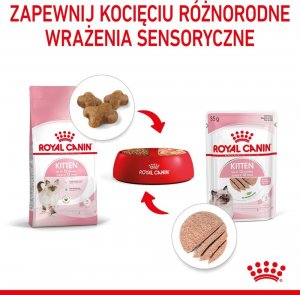 Royal Canin ROYAL CANIN Kitten pasztet 12x85g karma mokra - pasztet dla kociąt do 12 miesiąca życia + Royal Canin Piłeczka dla kota GRATIS 7