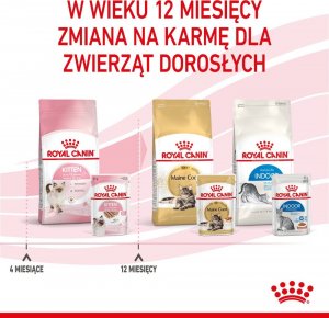 Royal Canin ROYAL CANIN Kitten pasztet 12x85g karma mokra - pasztet dla kociąt do 12 miesiąca życia + Royal Canin Piłeczka dla kota GRATIS 10