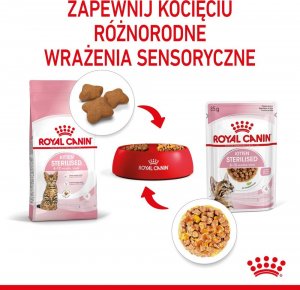 Royal Canin ROYAL CANIN Kitten Sterilised 12x85g karma mokra w galaretce dla kociąt do 12 miesiąca życia, sterylizowanych + Royal Canin Piłeczka dla kota GRATIS 7