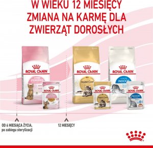 Royal Canin ROYAL CANIN Kitten Sterilised 12x85g karma mokra w galaretce dla kociąt do 12 miesiąca życia, sterylizowanych + Royal Canin Piłeczka dla kota GRATIS 10