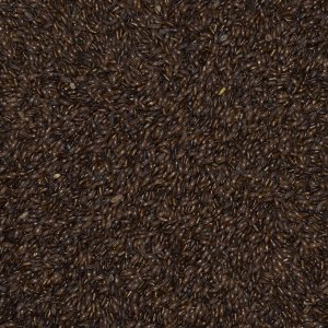 Brat BABKA PŁESZNIK naturalny BŁONNIK 1kg PRODUKT NATURALNY WYSOKIEJ JAKOŚCI 3