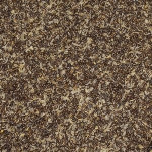 Brat BŁONNIK WITALNY 1kg babka PŁESZNIK jajowata 3