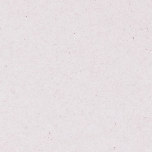 Brat Acerola w proszku PROSZEK 250g NATURALNA Witamina C 3